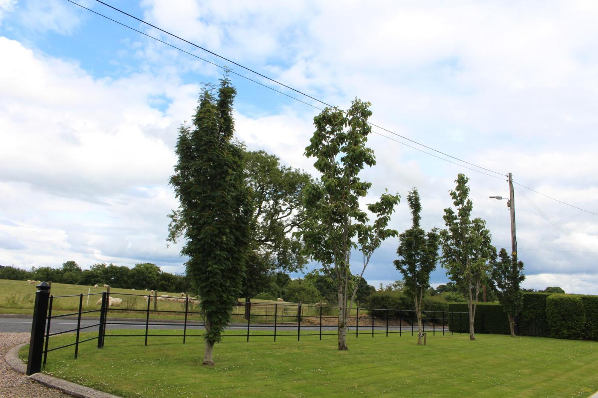 Contemporary Countryside Home Dromore  Buitenkant foto